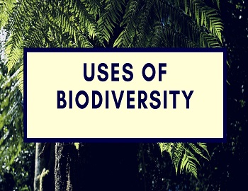 Uses of Biodiversity