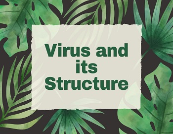 Virus and its Structure