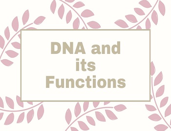 DNA and its Functions
