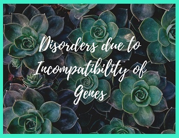 Disorders due to Incompatibility of Genes