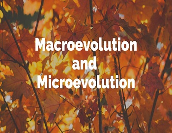 Macro-Evolution and Micro-Evolution
