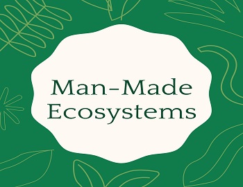Man-Made Ecosystems
