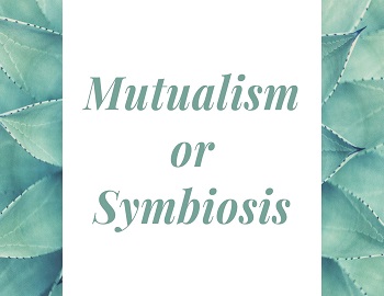 Mutualism or Symbiosis
