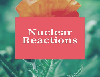 Nuclear Reactions