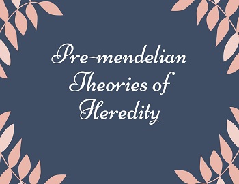 Pre-mendelian Theories of Heredity