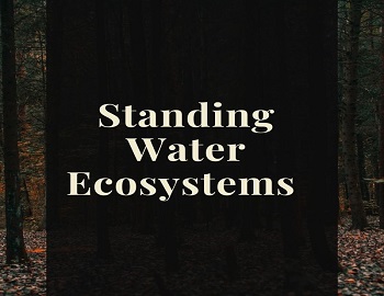 Standing Water Ecosystems