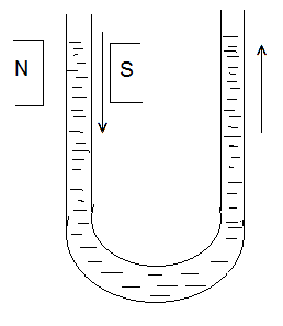 diamagnetic liquid in a U-shape tube