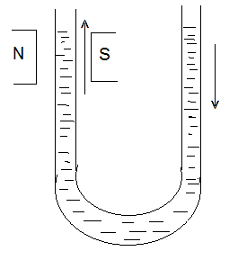 paramagnetic liquid in a U-shape tube