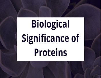 Biological Significance of Proteins