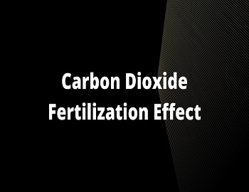 Carbon Dioxide Fertilization Effect