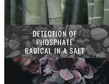 Detection of Phosphate Radical in a Salt