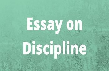 Essay on Discipline