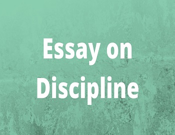 Essay on Discipline