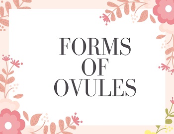 Forms of Ovules