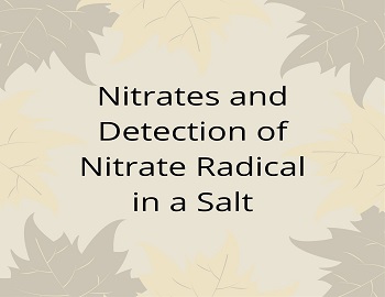 Nitrates and Detection of Nitrate Radical in a Salt
