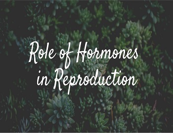 Role of Hormones in Reproduction
