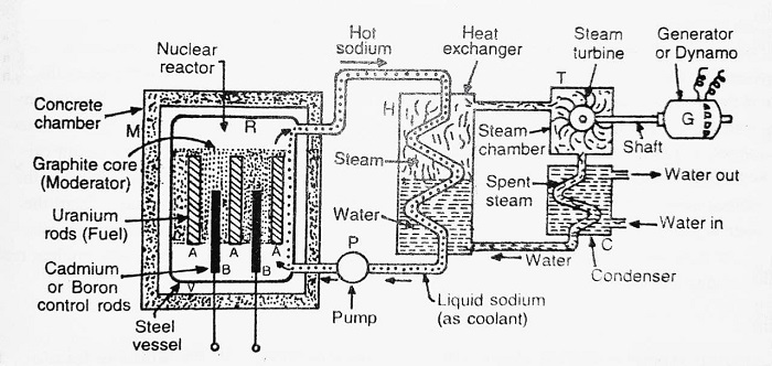 diagram of nuclear reactor