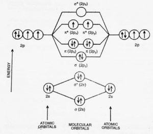 O2 Diatomic Bonding in Some Diatomic Molecules | Important Concept