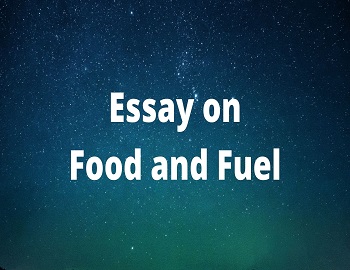 Essay on Food and Fuel
