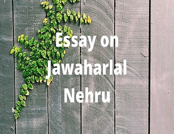 Essay on Jawaharlal Nehru