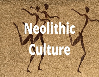 Neolithic Culture