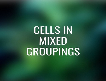 Cells in Mixed Groupings Diagram