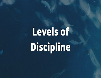 Levels of Discipline