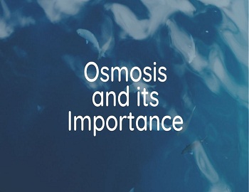 Osmosis and its Importance