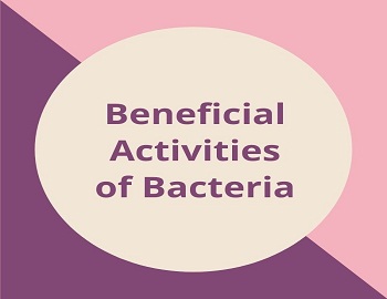 Beneficial Activities of Bacteria