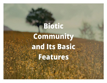 Biotic Community and Its Basic Features
