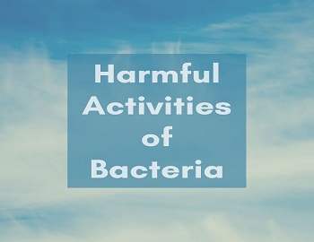 Harmful Activities of Bacteria