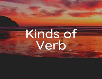 Kinds of Verb
