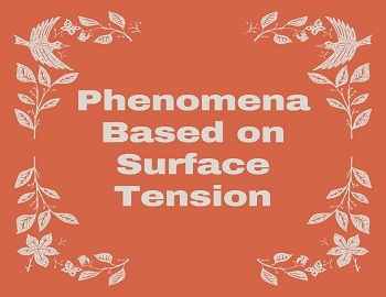 Phenomena Based on Surface Tension