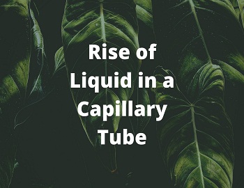 Rise of Liquid in a Capillary Tube