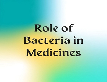 Role of Bacteria in Medicines