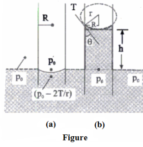 Rise of Liquid in a Capillary Tube | Important For NEET