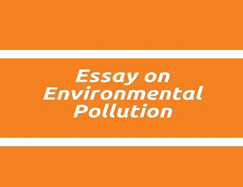 Essay on Environmental Pollution