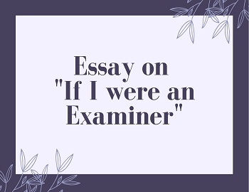 Essay on If I were an examiner