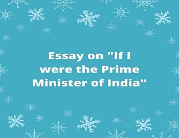 If I were the Prime Minister of India