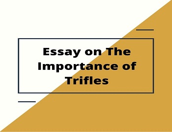 Essay on The Importance of Trifles