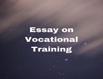 Essay on Vocational Training