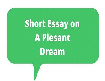 Essay on A Plesant Dream