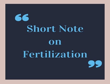 Short Note on Fertilization