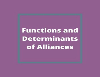 Functions and Determinants of Alliances