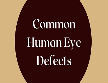 Common Human Eye Defects