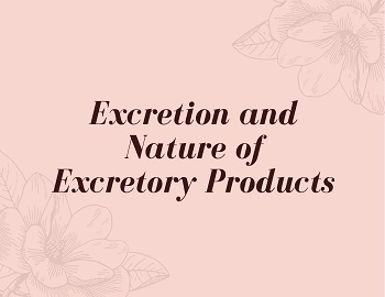 Excretion and Nature of Excretory Products