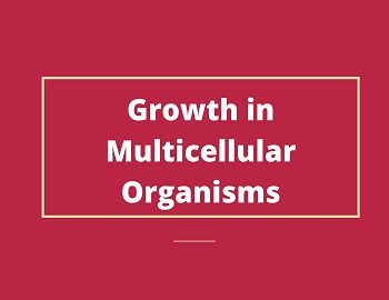 Growth in Multicellular Organisms
