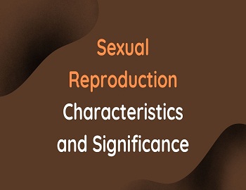 Sexual Reproduction Characteristics and Significance