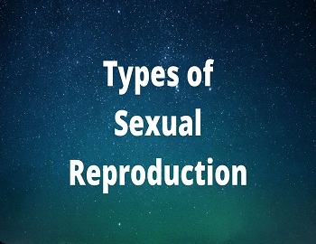 Types of Sexual Reproduction