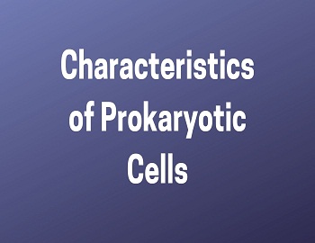 Characteristics of Prokaryotic Cells